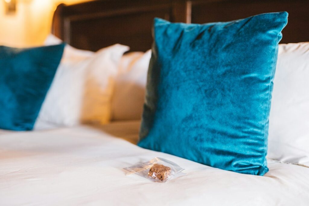 Bedroom and mattress area where bed bug signs should be inspected