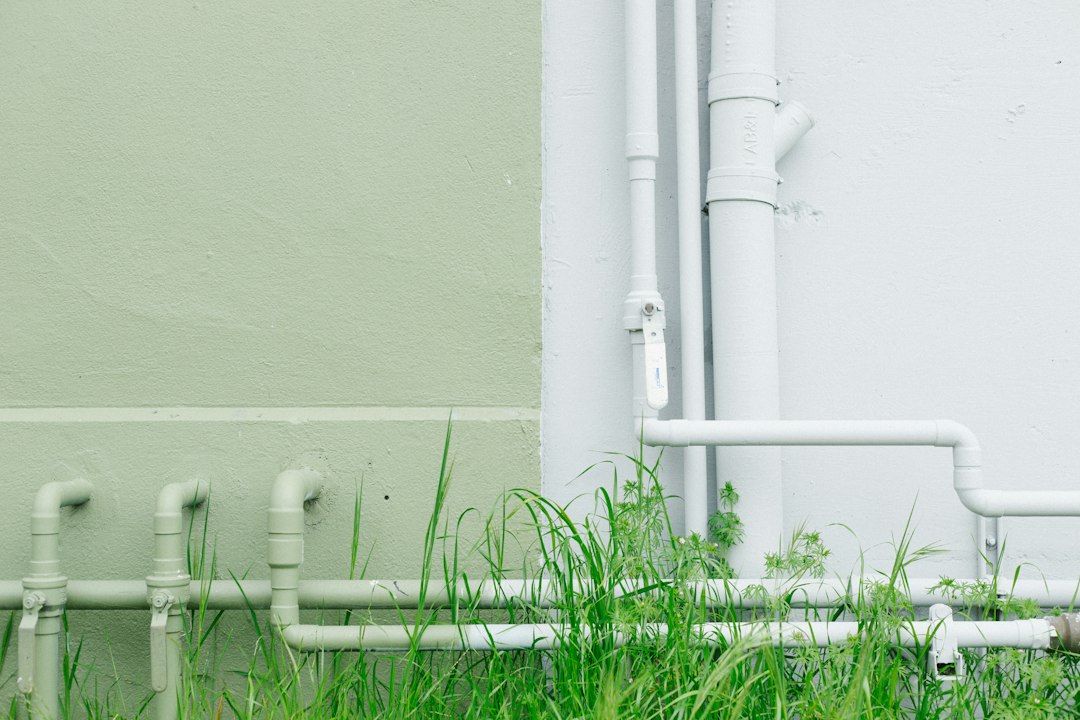 Exterior pipe area illustrating places to inspect for rodent entry points