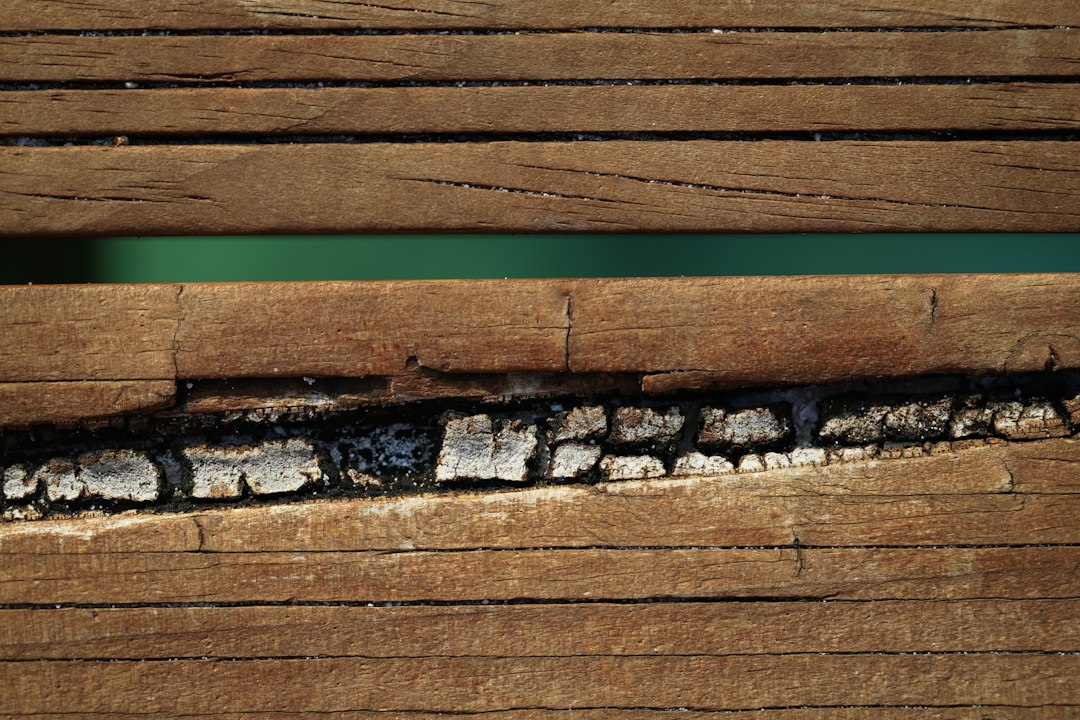 Damaged wood that may warrant a professional termite inspection