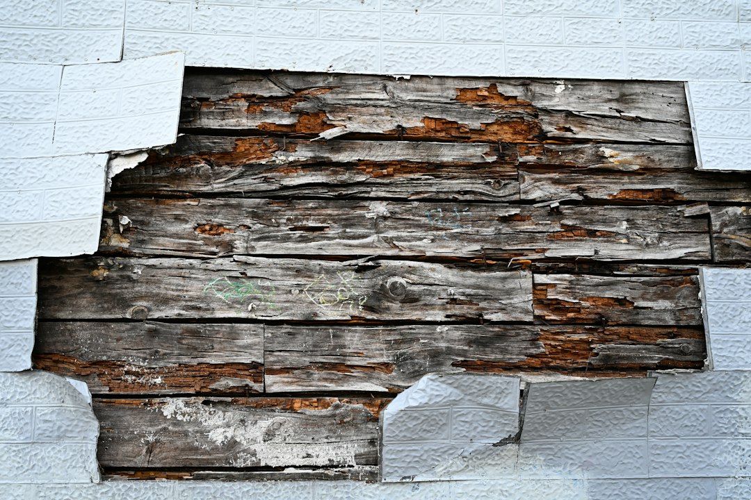 Weathered wood showing why moisture and timber conditions should be inspected